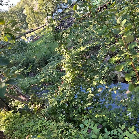 Am Bach Biberstueble Tengen